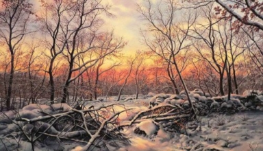 I colori del tramonto, 2011: 14 - olio su tavola - cm 60x40