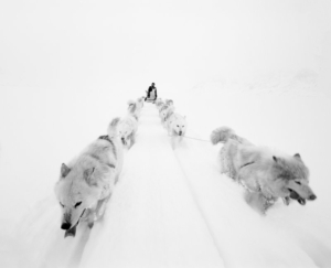 Paolo Solari Bozzi© - Sermilik Fjord, Groenlandia 2016
